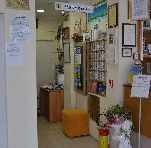 提兹亚娜酒店 里米尼